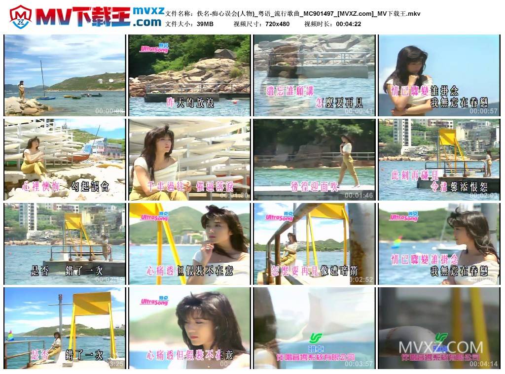 佚名-痴心误会(人物)_粤语_流行歌曲_MC901497